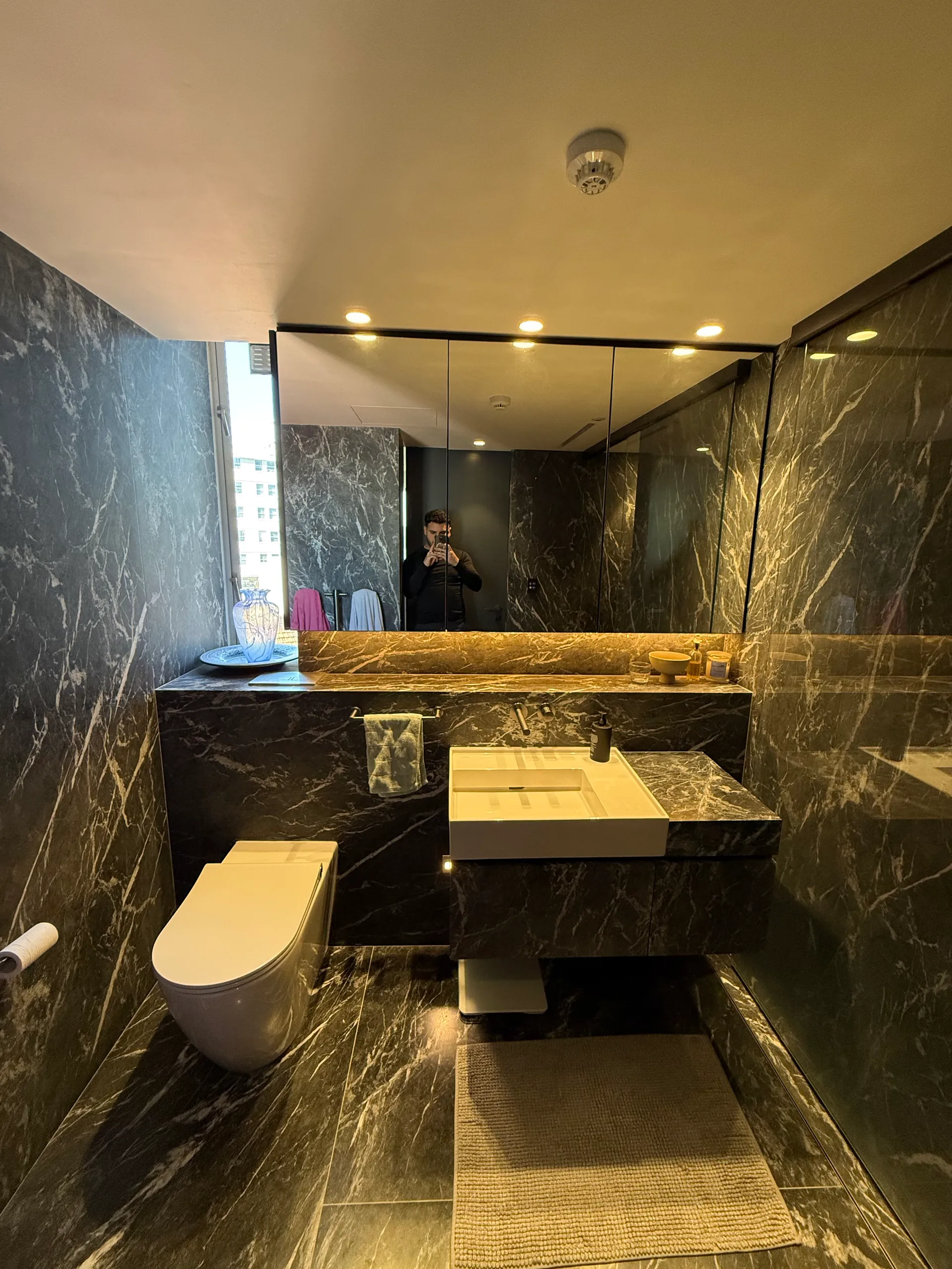Dark marble bathroom showing toilet and vanity area